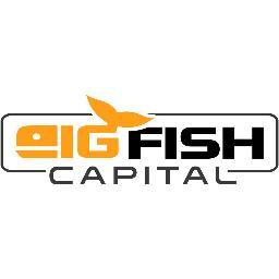 BIGFISH CAPITAL