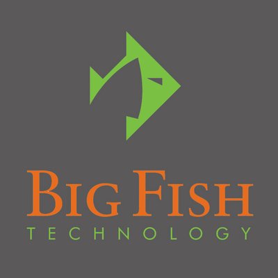 Big Fish Technology