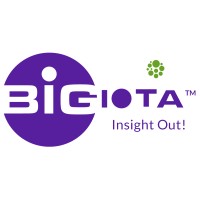 Bigiota Analytics