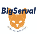 Bigserval