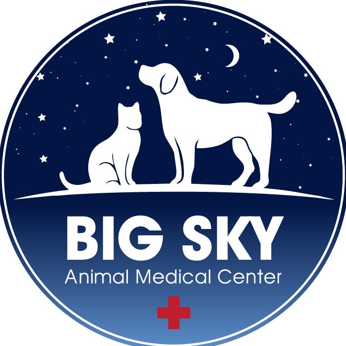 Big Sky Animal Medical Center