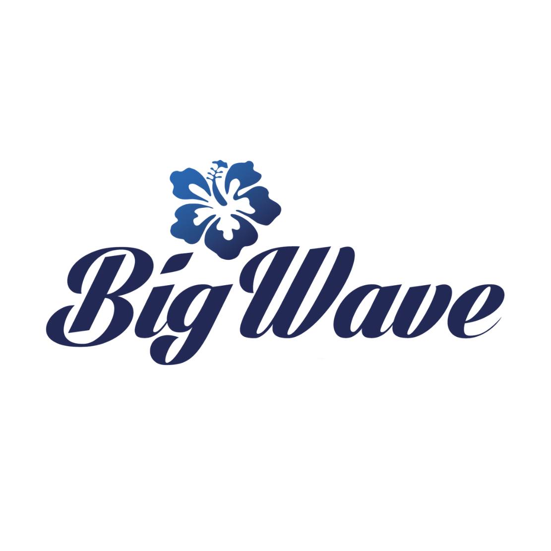 Big Wave Window