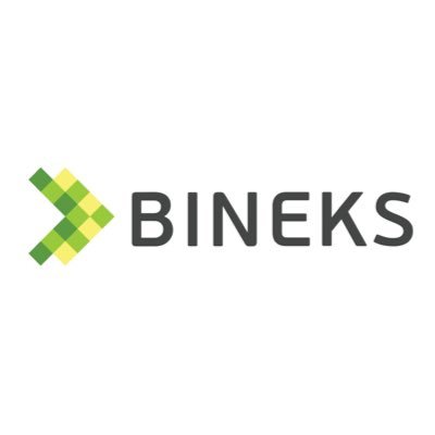 Bineks