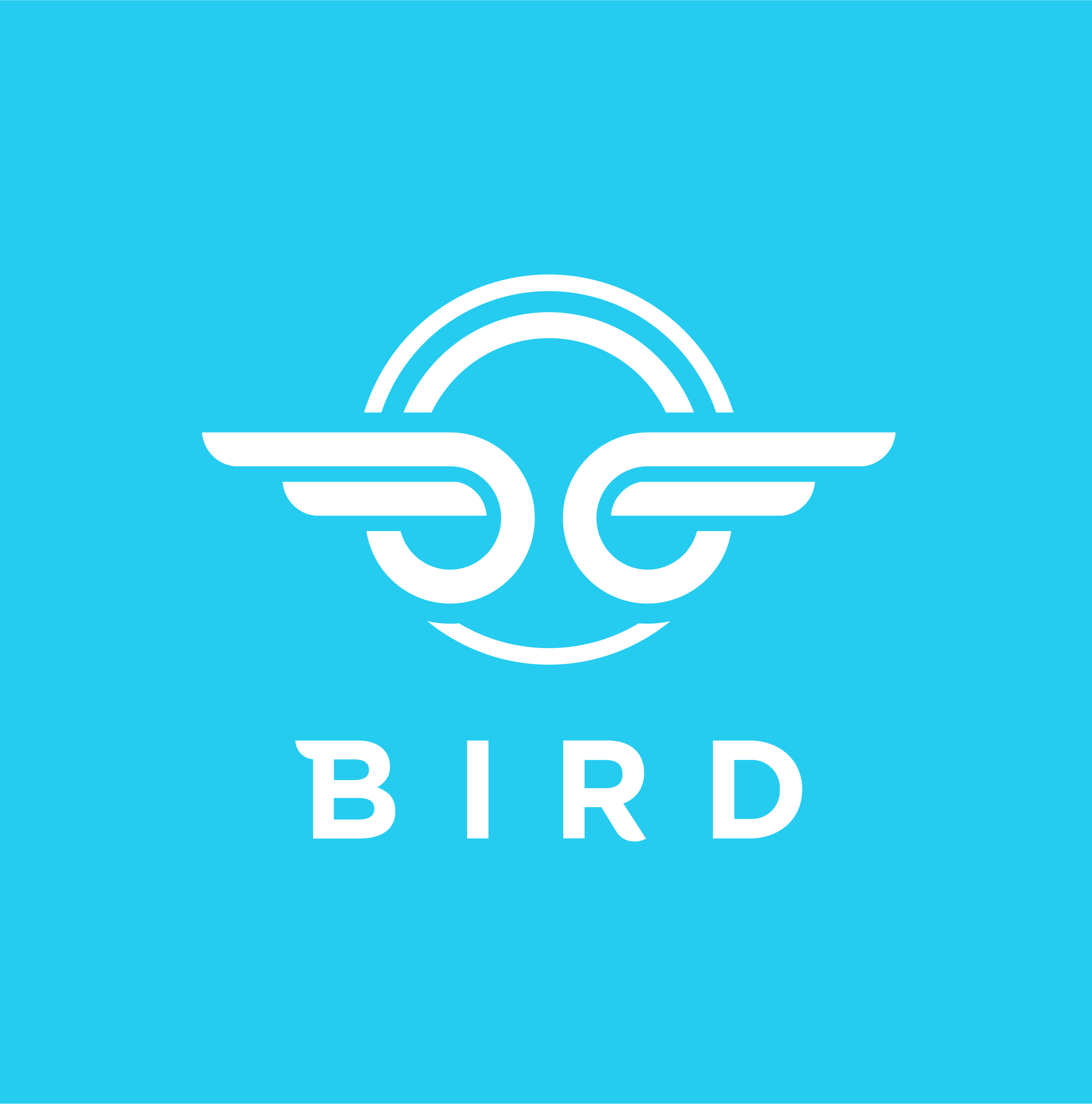 Bird Rides