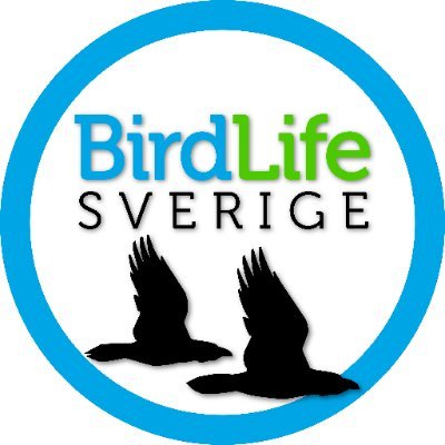 Birdlife Sweden