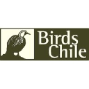 Birds Chile