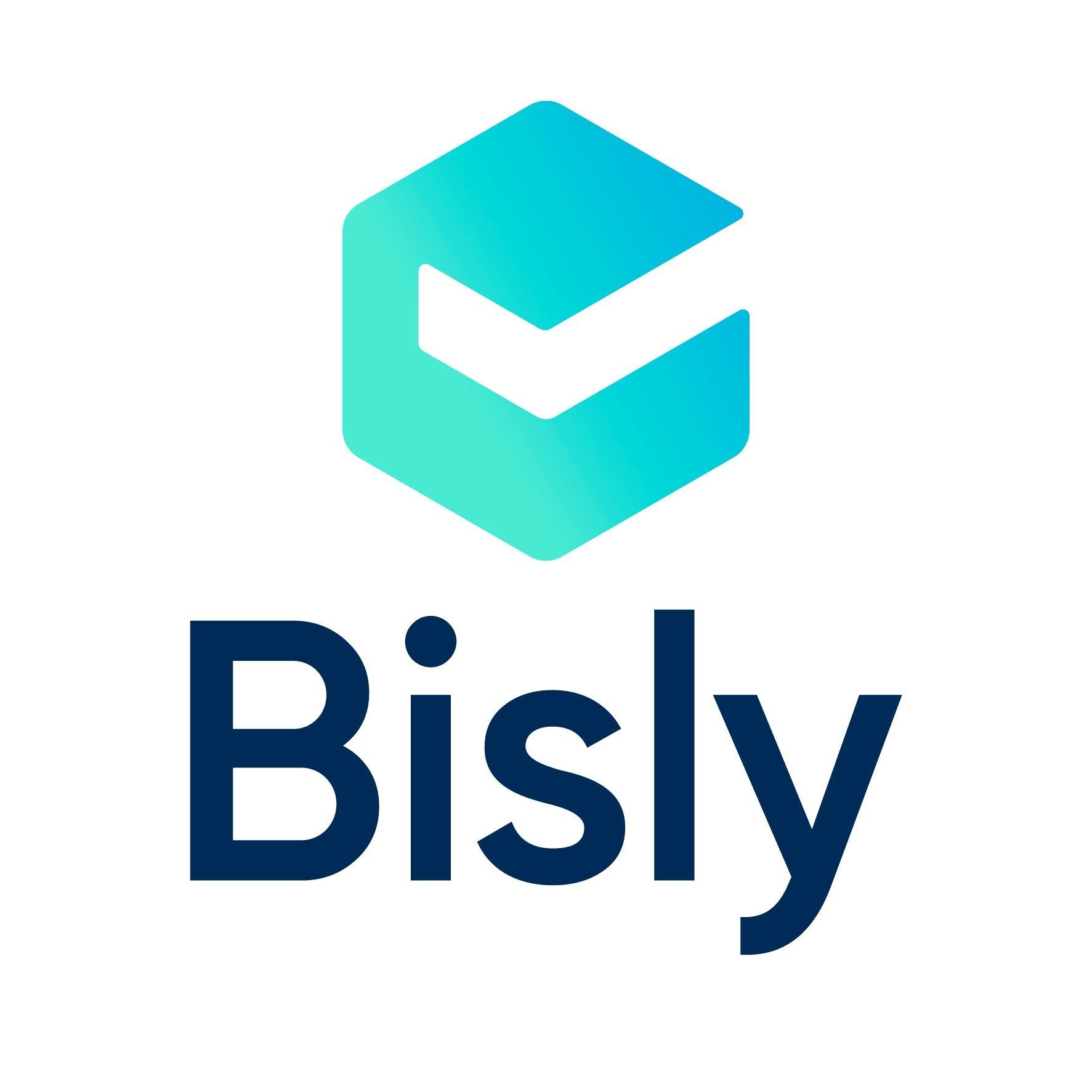 Bisly   Building Intelligence Solutions