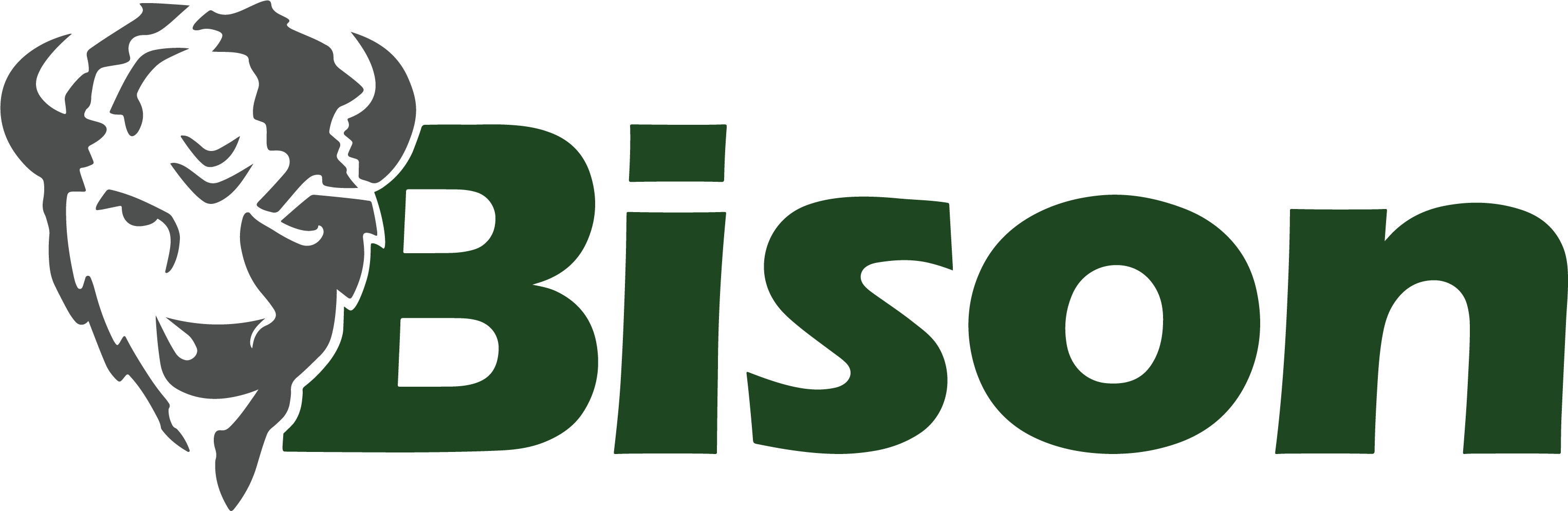 Bison