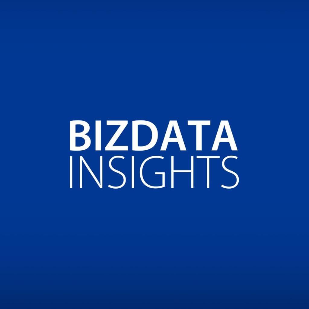 BIZDATA INSIGHTS