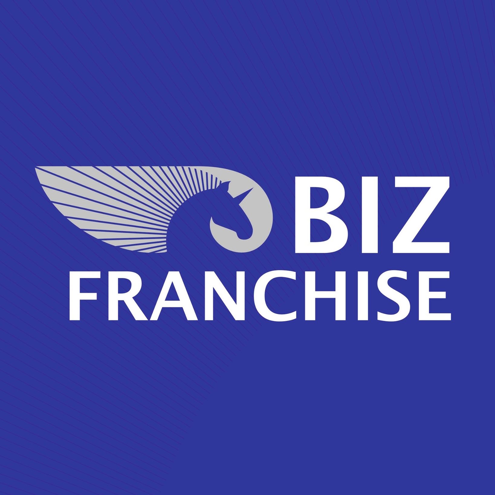 Biz Franchise