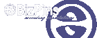 BizPins