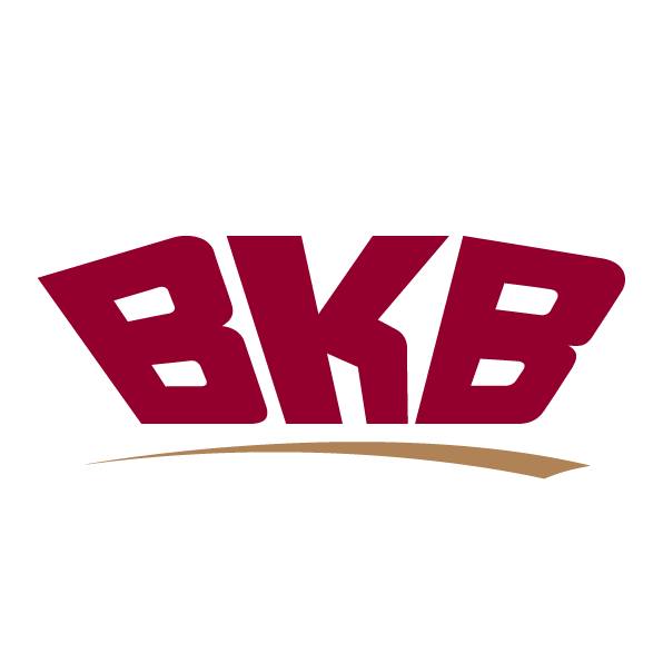 BKB Limited