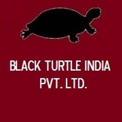 Black Turtle