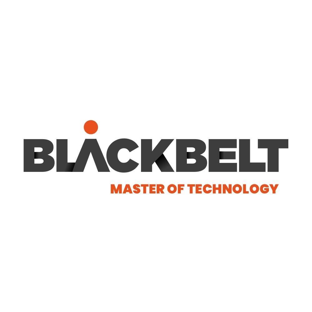 BlackBelt Technology Kft