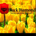 Black Diamond