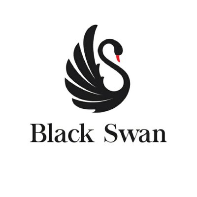 Black Swan Business Setup Services