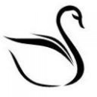 Black Swan Advisors LLC