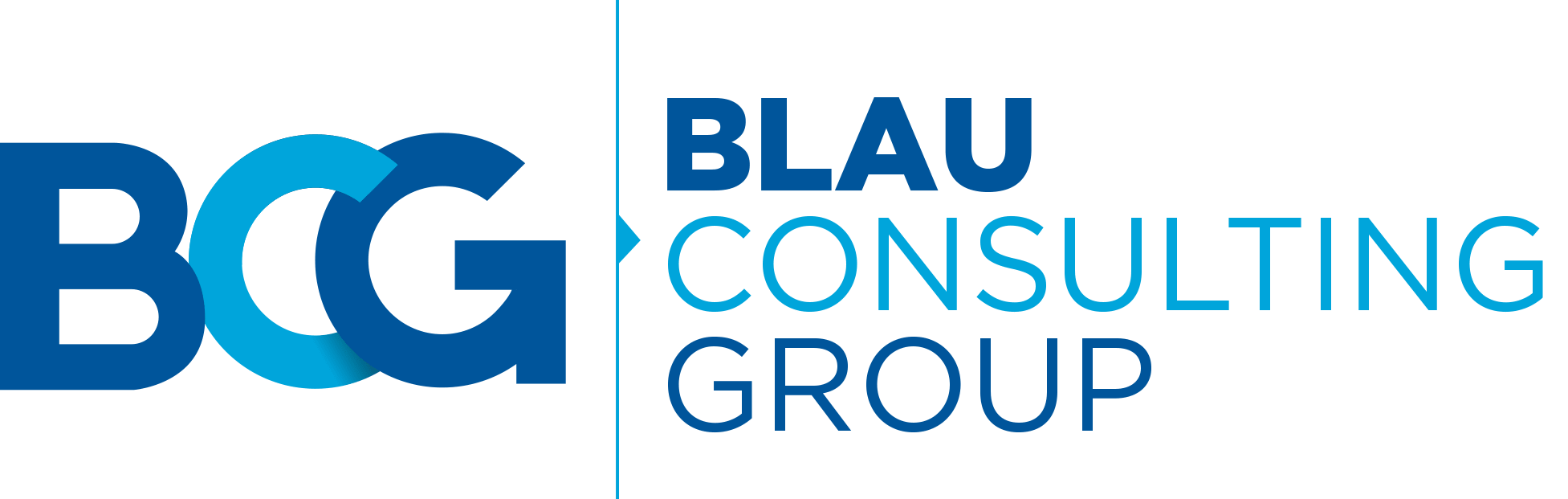 BLAU Consulting Group