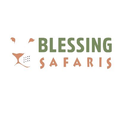 Blessing Safaris