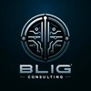 Blig Consulting