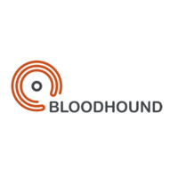 Bloodhound