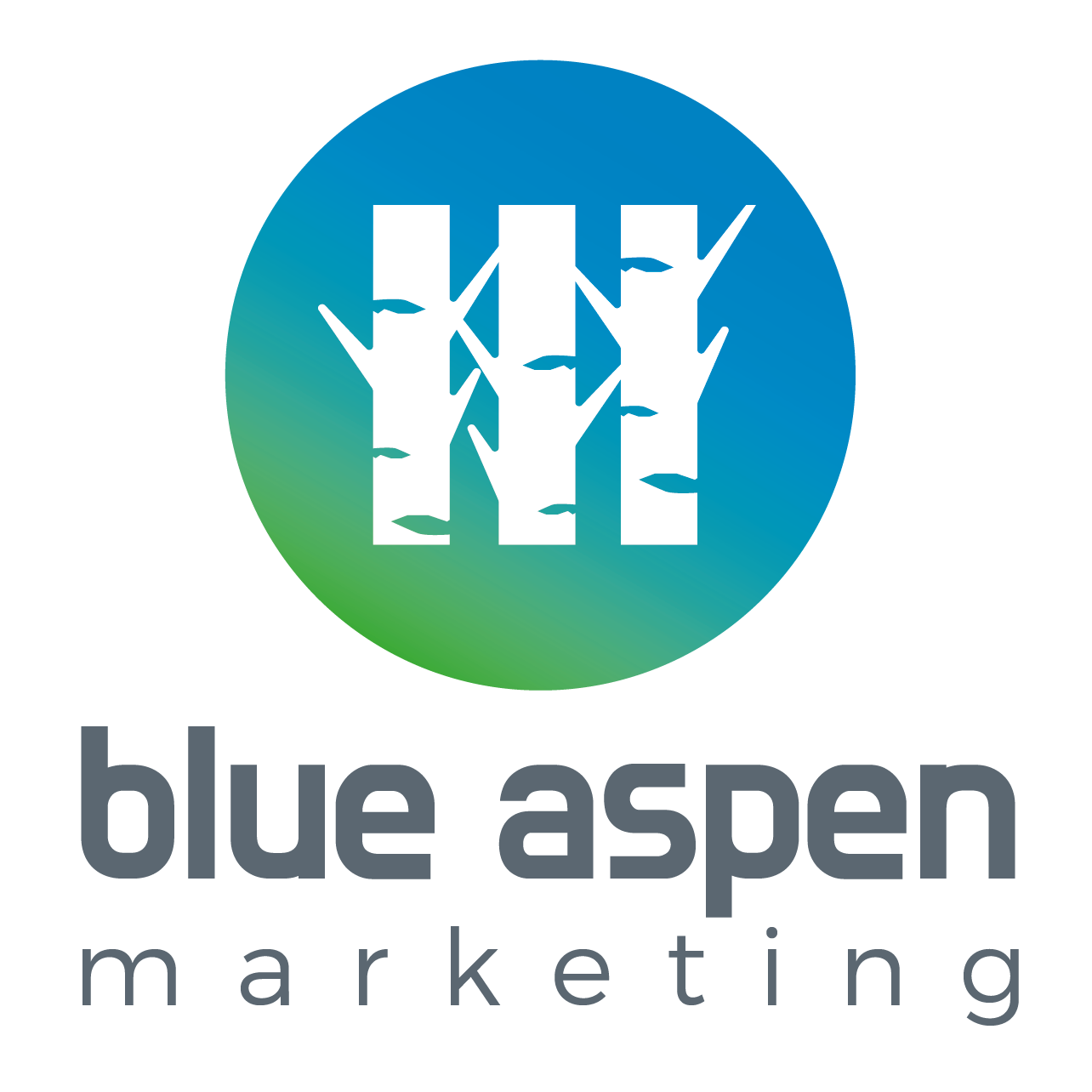 Blue Aspen Marketing