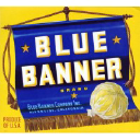 Blue Banner