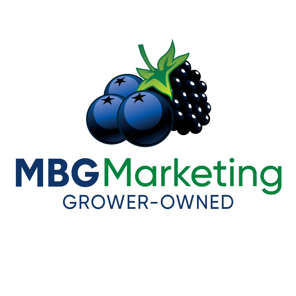 MBG Marketing