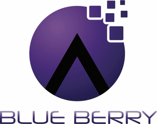 Blue Berry e-Services Pvt