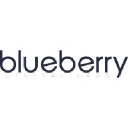 Blueberry Digital Labs