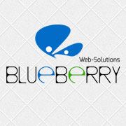 BLUEBERRY WEB SOLUTIONS PVT