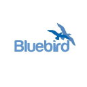 Bluebird