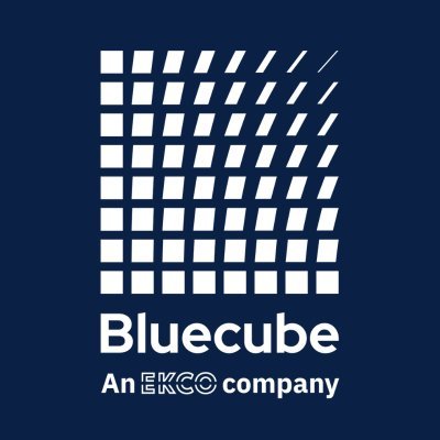 Bluecube Technology Solutions