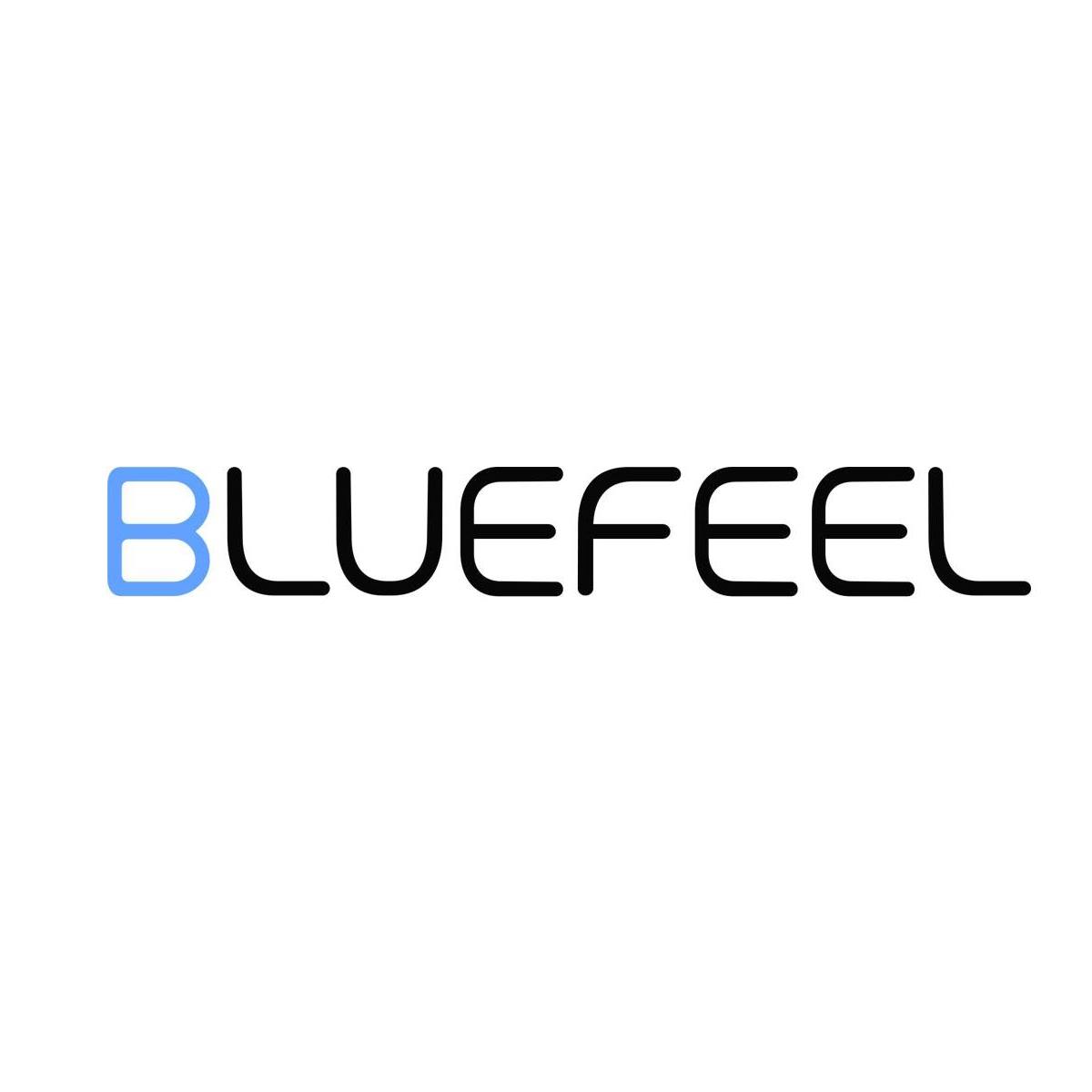 BLUEFEEL Corporation