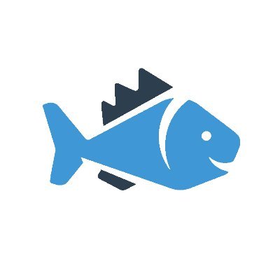 Blue Fish Design Studio