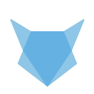 Blue Fox Branding