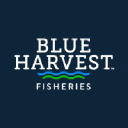 Blue Harvest Fisheries