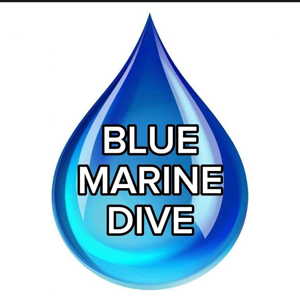 Blue Marine Dive