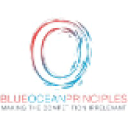 Blue Ocean Principles