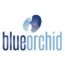 Blue Orchid Advertising Agency