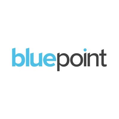 Bluepoint Leadership Development