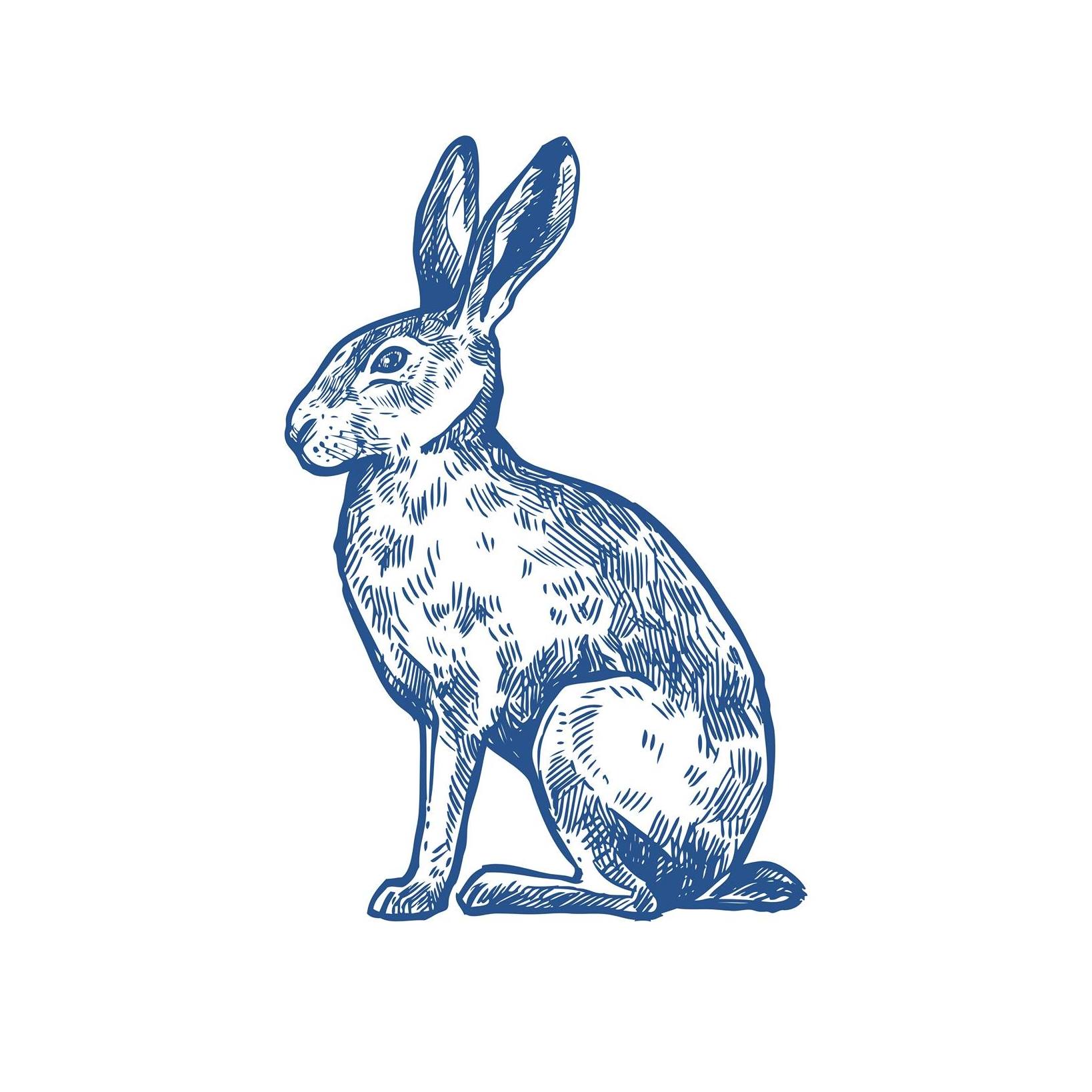 Blue Rabbit Digital