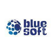 Blue Soft Group