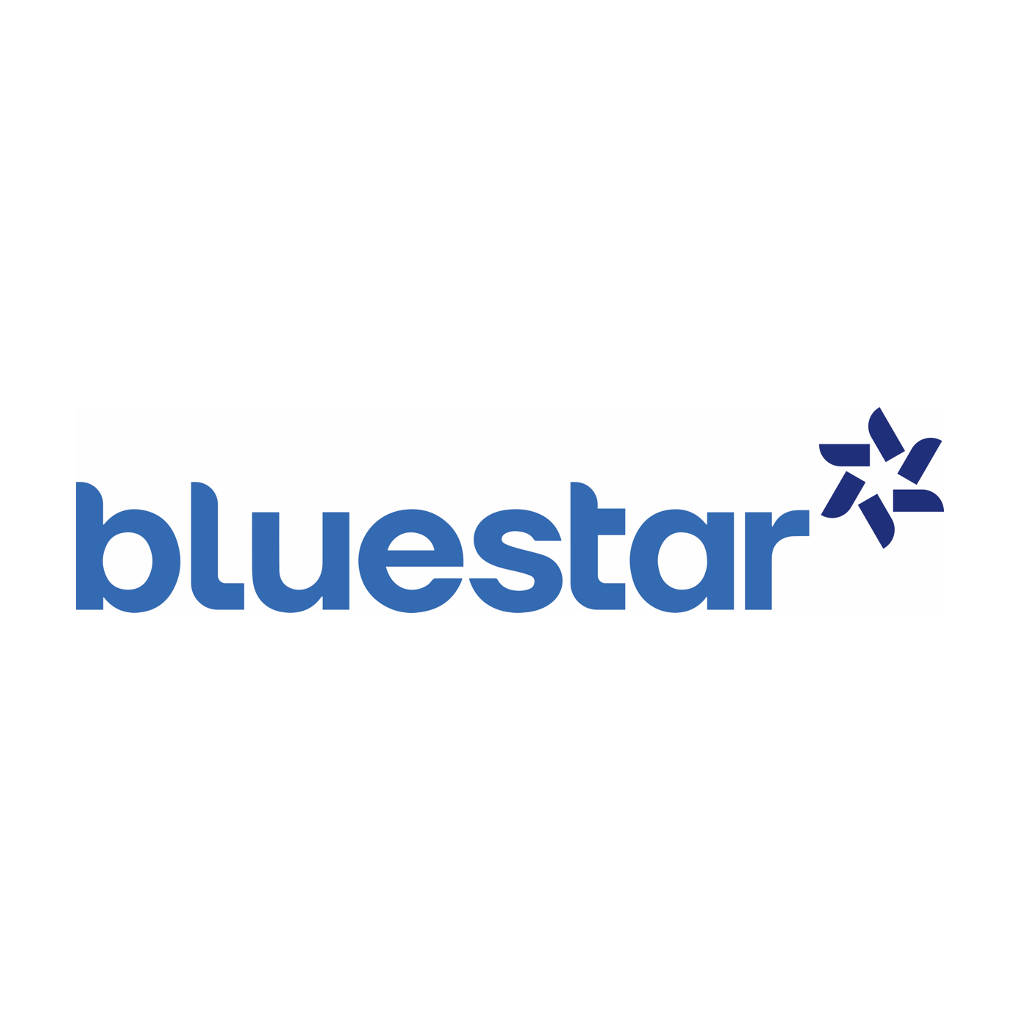 BLUE STAR GROUP LIMITED