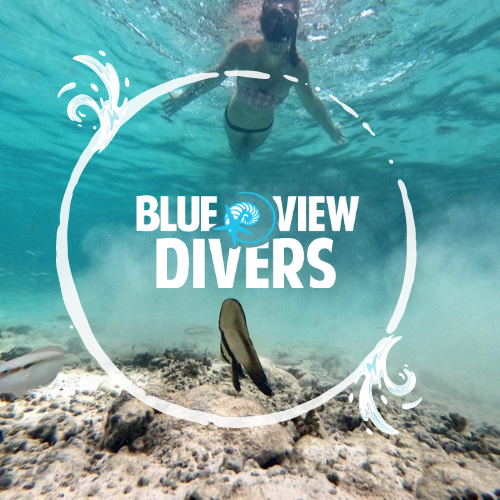 Blue View Divers