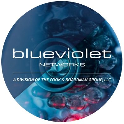 Blue Violet Networks
