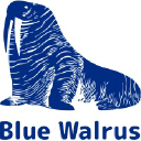 Blue Walrus