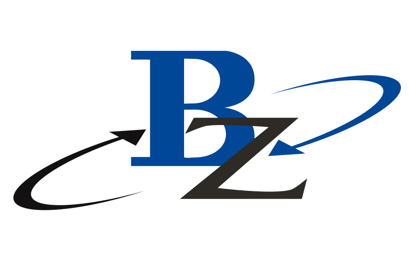 Blue Zone Systems Pvt