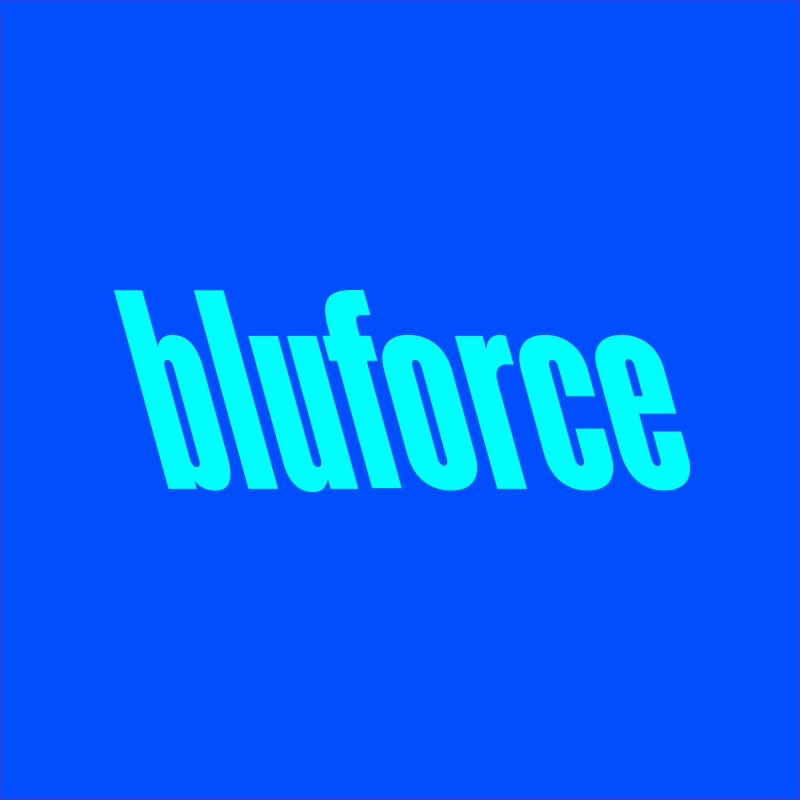 bluforce Group