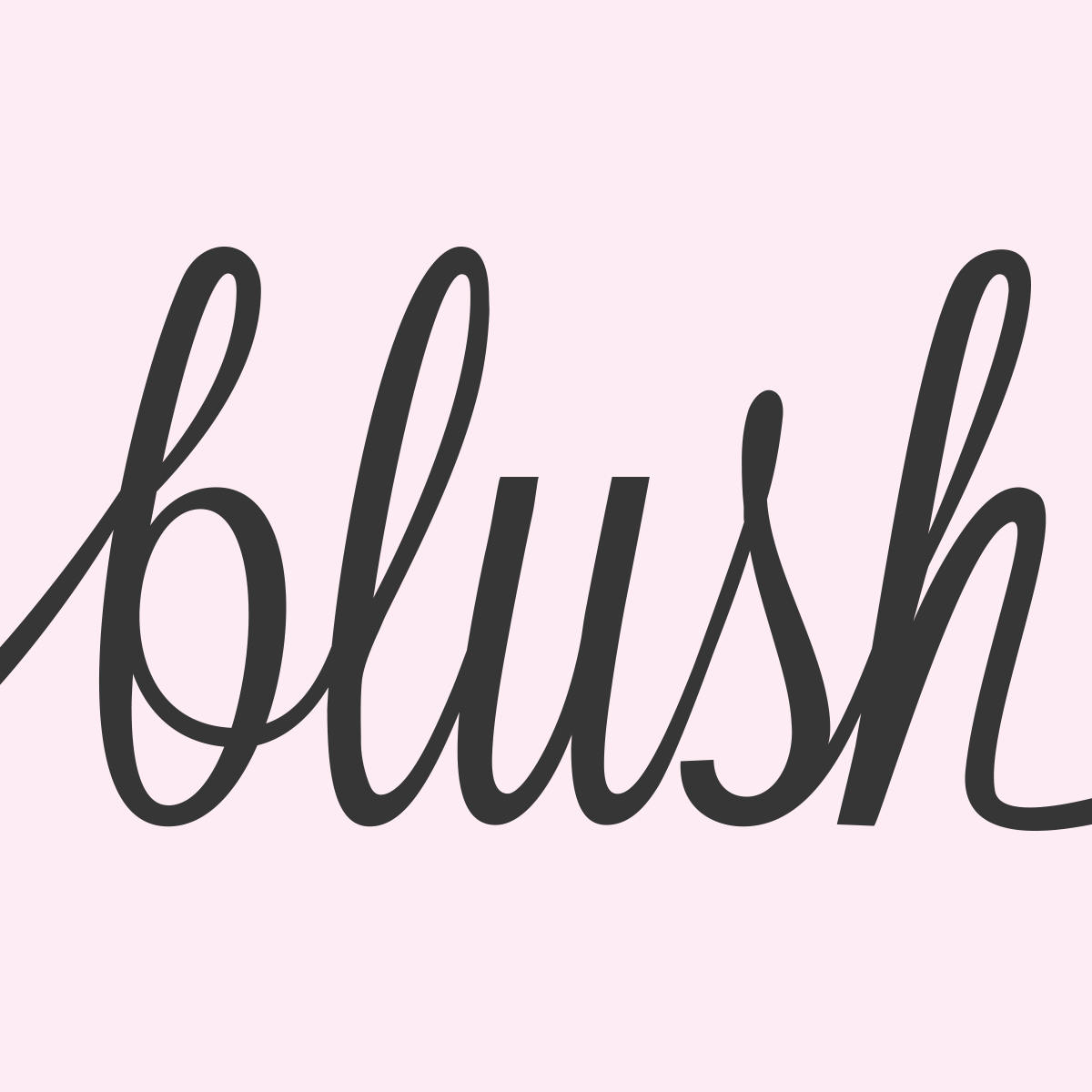 Blush Salon + Spa